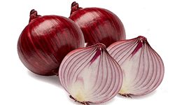 vegetable onion