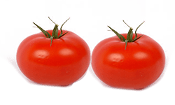 vegetable tomato